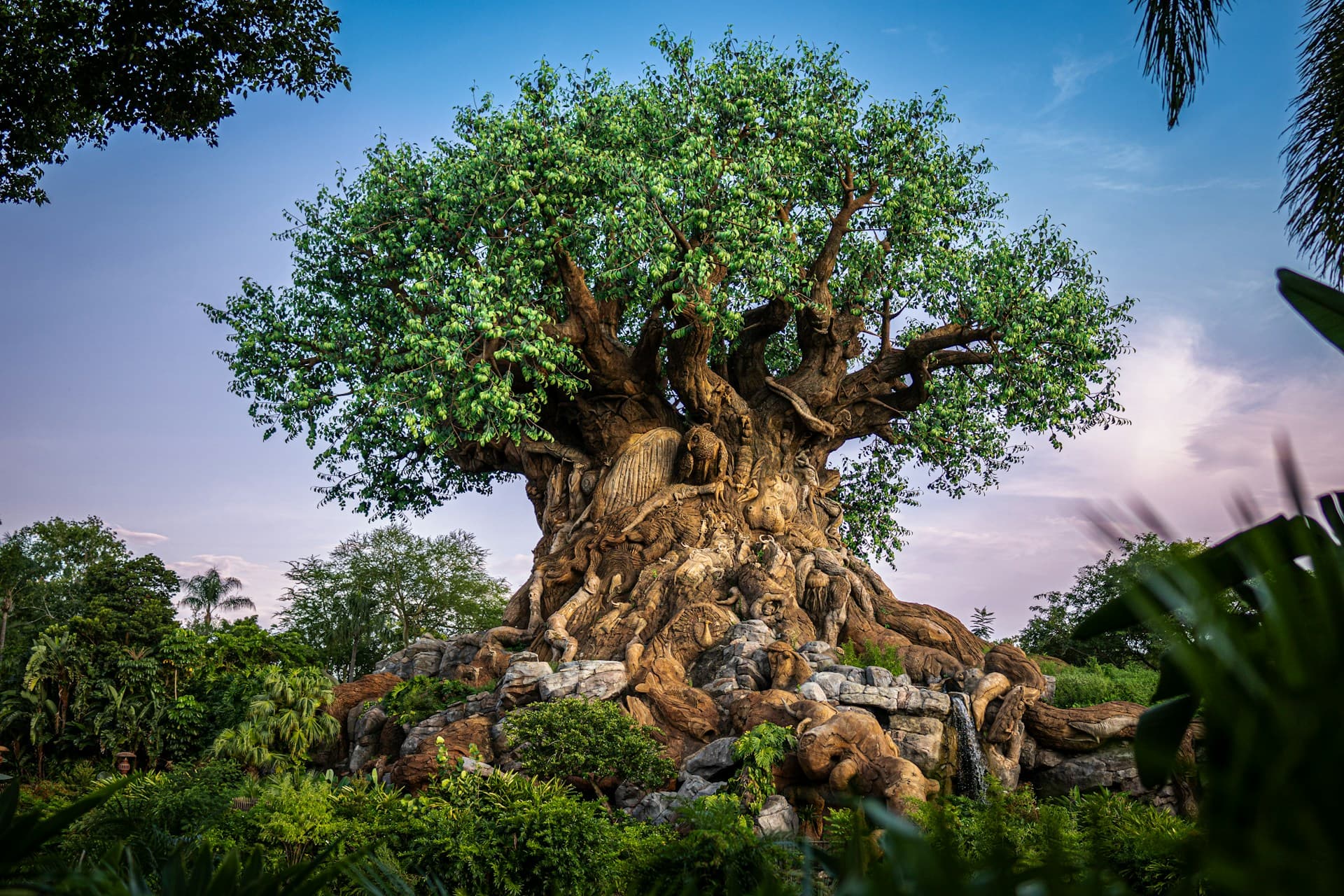 Disney Animal Kingdom